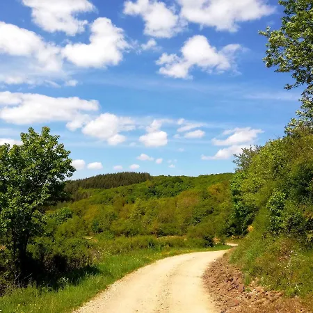 펜션 Eifelhaeuschen Am Biersdorf