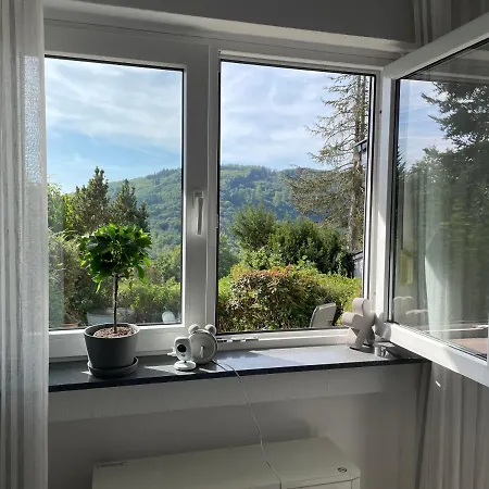 펜션 Eifelhaeuschen Am Biersdorf