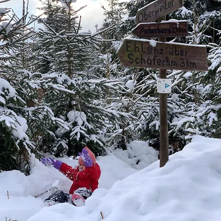 בית נופש Eifelhaeuschen Am *