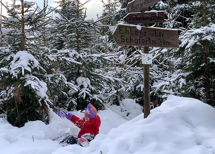 Vakantiehuis Eifelhaeuschen Am *